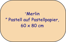 Merlin  Pastell auf Pastellpapier, 60 x 80 cm